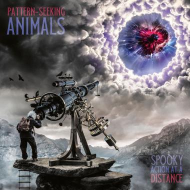 Pattern Seeking Animals -  Spooky Action at a Distance